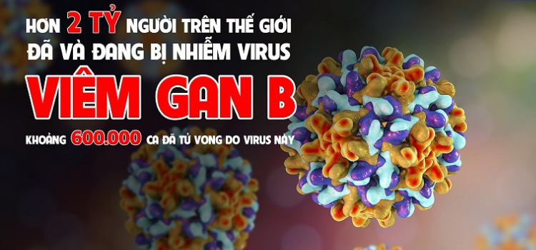 Viêm gan vi rút B là một bệnh phổ biến toàn cầu, do vi rút viêm gan B (HBV) gây ra. Bệnh có thể lây truyền qua đường máu, đường tình dục, từ mẹ truyền sang con. Nếu mẹ nhiễm HBV và có HBeAg (+) thì khả năng lây cho con là hơn 80% và khoảng 90% trẻ sinh ra sẽ mang HBV mạn tính.
Điều trị Viêm gan B cấp tính: chủ yếu là các điều trị hỗ trợ
Điều trị viêm gan B mạn tính: Cần theo dõi chức năng gan, tải lượng virus. Chỉ định điều trị các thuốc kháng virus viêm gan B cần tham khảo ý kiến bác sĩ chuyên khoa. Cần theo dõi các tác dụng không mong muốn sau dùng thuốc